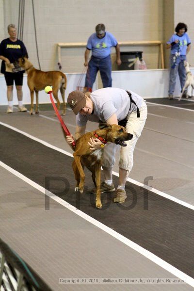 IMG_7537.jpg - Dawg Derby Flyball TournementJuly 10, 2010Classic CenterAthens, Ga