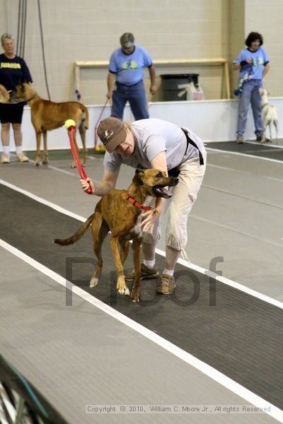 IMG_7538.jpg - Dawg Derby Flyball TournementJuly 10, 2010Classic CenterAthens, Ga