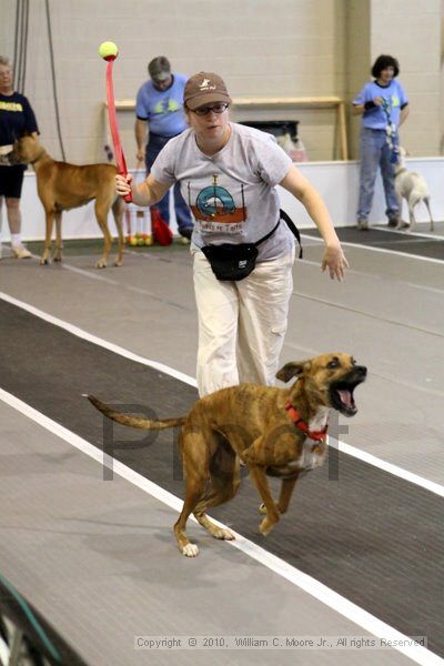 IMG_7539.jpg - Dawg Derby Flyball TournementJuly 10, 2010Classic CenterAthens, Ga