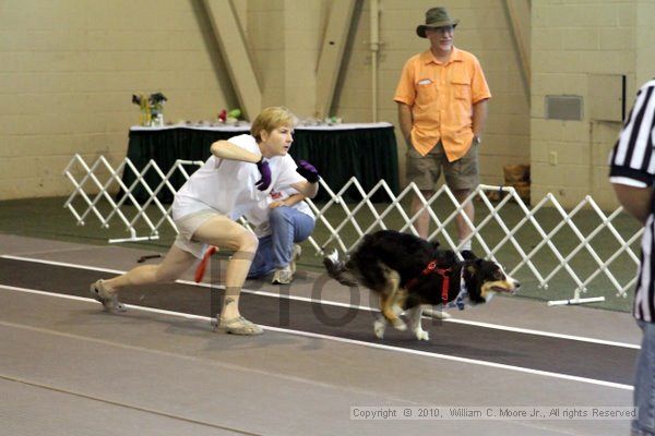 IMG_7541.jpg - Dawg Derby Flyball TournementJuly 10, 2010Classic CenterAthens, Ga