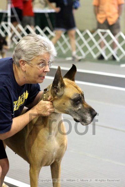 IMG_7543.jpg - Dawg Derby Flyball TournementJuly 10, 2010Classic CenterAthens, Ga