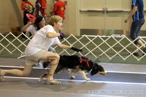 IMG_7549.jpg - Dawg Derby Flyball TournementJuly 10, 2010Classic CenterAthens, Ga