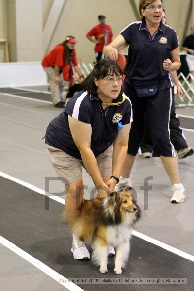 IMG_7558.jpg - Dawg Derby Flyball TournementJuly 10, 2010Classic CenterAthens, Ga