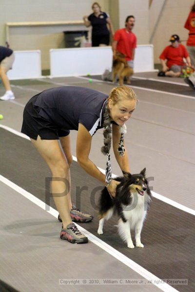 IMG_7559.jpg - Dawg Derby Flyball TournementJuly 10, 2010Classic CenterAthens, Ga