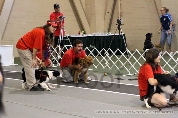 IMG_7561.jpg - Dawg Derby Flyball TournementJuly 10, 2010Classic CenterAthens, Ga