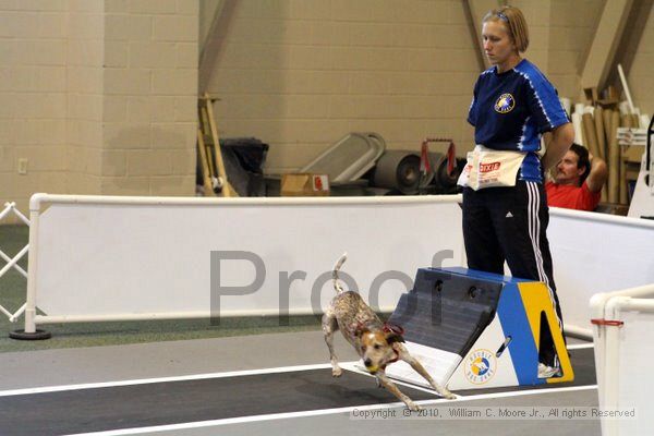 IMG_7587.jpg - Dawg Derby Flyball TournementJuly 10, 2010Classic CenterAthens, Ga