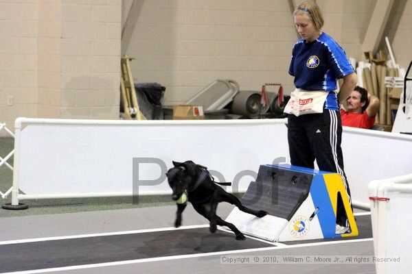 IMG_7588.jpg - Dawg Derby Flyball TournementJuly 10, 2010Classic CenterAthens, Ga