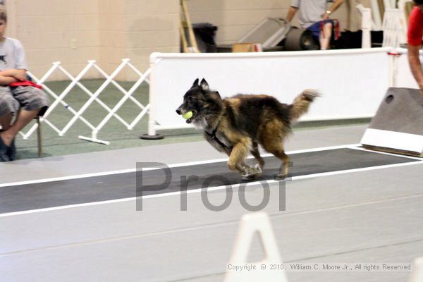 IMG_7626.jpg - Dawg Derby Flyball TournementJuly 10, 2010Classic CenterAthens, Ga