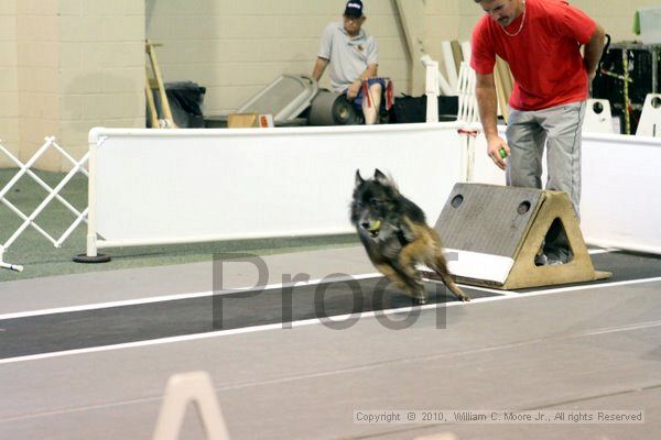 IMG_7648.jpg - Dawg Derby Flyball TournementJuly 10, 2010Classic CenterAthens, Ga