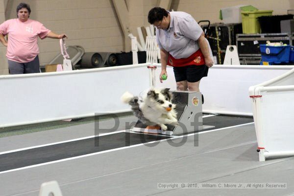 IMG_7685.jpg - Dawg Derby Flyball TournementJuly 10, 2010Classic CenterAthens, Ga