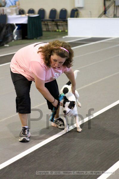 IMG_7747.jpg - Dawg Derby Flyball TournementJuly 10, 2010Classic CenterAthens, Ga
