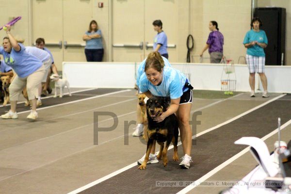 IMG_7770.jpg - Dawg Derby Flyball TournementJuly 10, 2010Classic CenterAthens, Ga