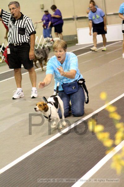 IMG_7775.jpg - Dawg Derby Flyball TournementJuly 10, 2010Classic CenterAthens, Ga