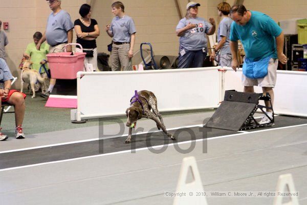 IMG_7802.jpg - Dawg Derby Flyball TournementJuly 10, 2010Classic CenterAthens, Ga