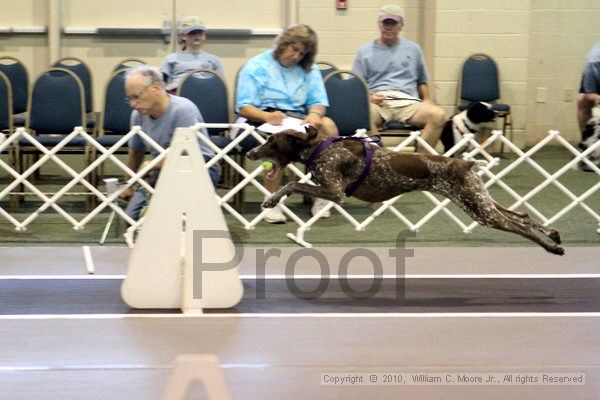 IMG_7803.jpg - Dawg Derby Flyball TournementJuly 10, 2010Classic CenterAthens, Ga