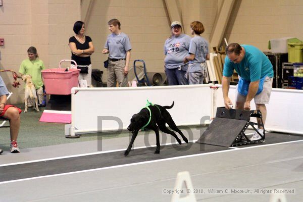 IMG_7804.jpg - Dawg Derby Flyball TournementJuly 10, 2010Classic CenterAthens, Ga