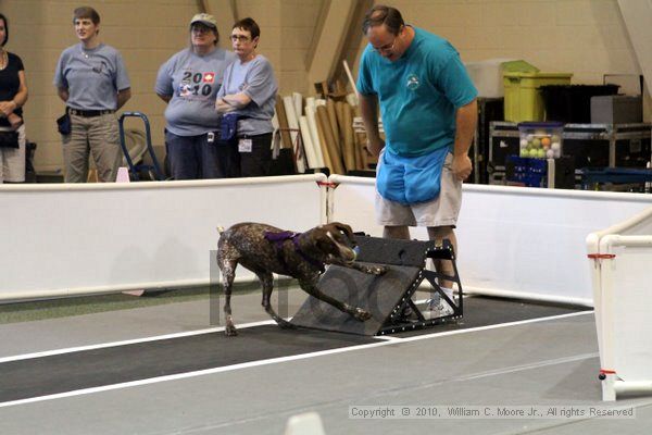 IMG_7808.jpg - Dawg Derby Flyball TournementJuly 10, 2010Classic CenterAthens, Ga