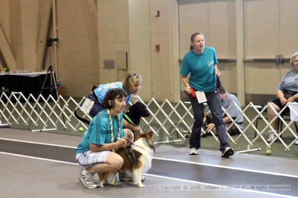 IMG_7819.jpg - Dawg Derby Flyball TournementJuly 10, 2010Classic CenterAthens, Ga