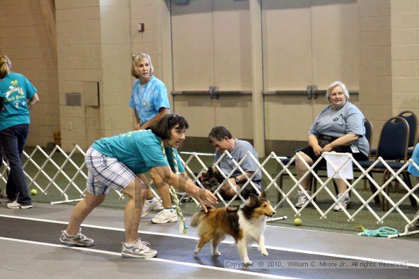 IMG_7821.jpg - Dawg Derby Flyball TournementJuly 10, 2010Classic CenterAthens, Ga