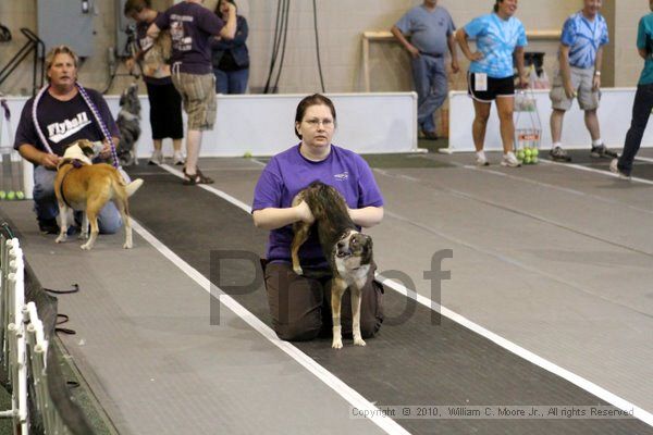 IMG_7822.jpg - Dawg Derby Flyball TournementJuly 10, 2010Classic CenterAthens, Ga