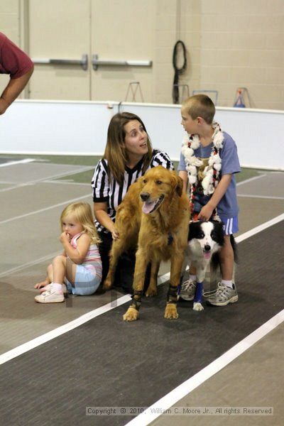 IMG_7823.jpg - Dawg Derby Flyball TournementJuly 10, 2010Classic CenterAthens, Ga