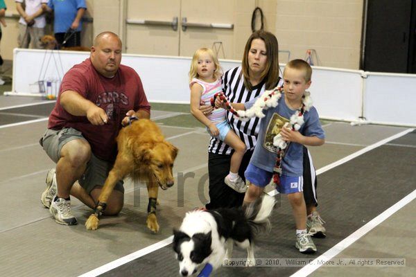 IMG_7828.jpg - Dawg Derby Flyball TournementJuly 10, 2010Classic CenterAthens, Ga