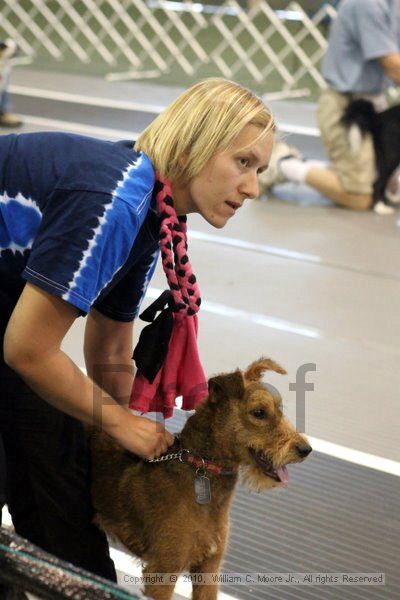 IMG_7833.jpg - Dawg Derby Flyball TournementJuly 10, 2010Classic CenterAthens, Ga
