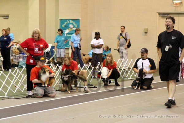 IMG_8242.jpg - Dawg Derby Flyball TournementJuly 10, 2010Classic CenterAthens, Ga