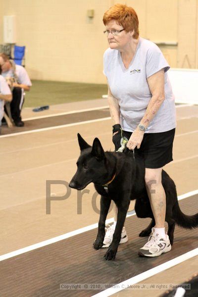 IMG_8298.jpg - Dawg Derby Flyball TournementJuly 10, 2010Classic CenterAthens, Ga