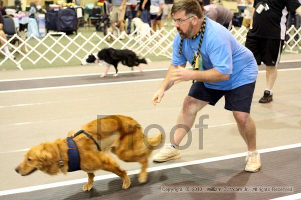 IMG_8301.jpg - Dawg Derby Flyball TournementJuly 10, 2010Classic CenterAthens, Ga
