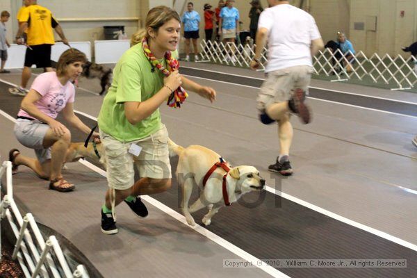 IMG_8318.jpg - Dawg Derby Flyball TournementJuly 10, 2010Classic CenterAthens, Ga