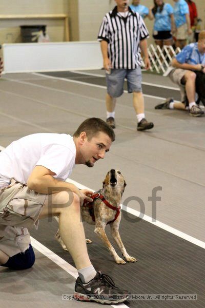 IMG_8322.jpg - Dawg Derby Flyball TournementJuly 10, 2010Classic CenterAthens, Ga