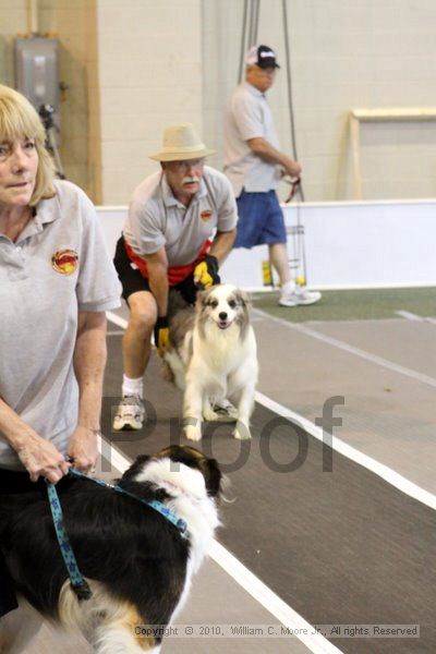 IMG_8328.jpg - Dawg Derby Flyball TournementJuly 10, 2010Classic CenterAthens, Ga