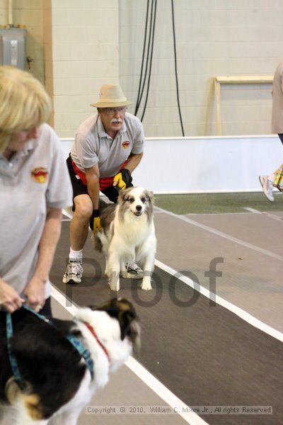 IMG_8329.jpg - Dawg Derby Flyball TournementJuly 10, 2010Classic CenterAthens, Ga