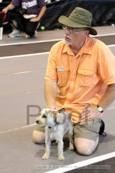 IMG_8571.jpg - Dawg Derby Flyball TournementJuly 10, 2010Classic CenterAthens, Ga