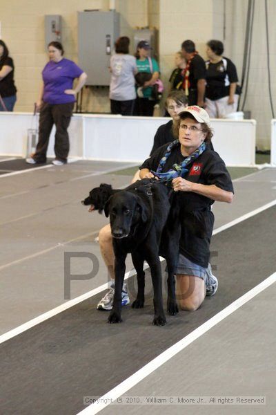 IMG_8572.jpg - Dawg Derby Flyball TournementJuly 10, 2010Classic CenterAthens, Ga