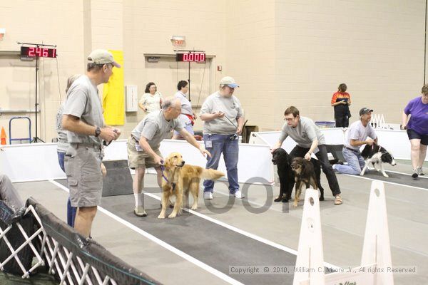 IMG_8596.jpg - Dawg Derby Flyball TournementJuly 11, 2010Classic CenterAthens, Ga