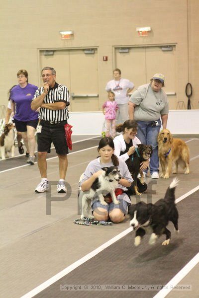 IMG_8631.jpg - Dawg Derby Flyball TournementJuly 11, 2010Classic CenterAthens, Ga