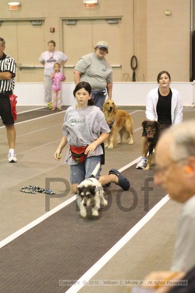 IMG_8633.jpg - Dawg Derby Flyball TournementJuly 11, 2010Classic CenterAthens, Ga