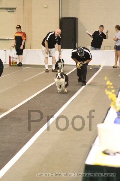 IMG_8664.jpg - Dawg Derby Flyball TournementJuly 11, 2010Classic CenterAthens, Ga