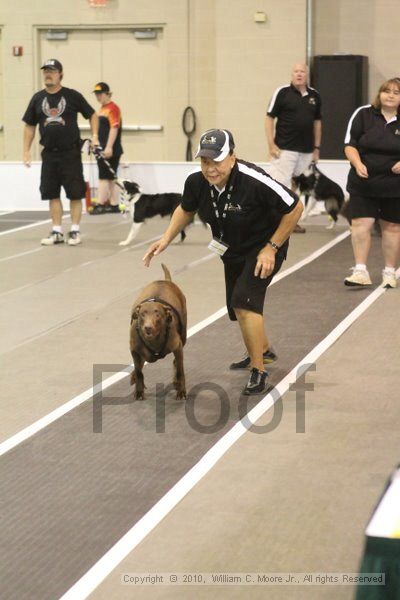 IMG_8668.jpg - Dawg Derby Flyball TournementJuly 11, 2010Classic CenterAthens, Ga