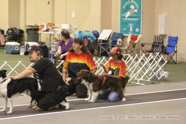 IMG_8672.jpg - Dawg Derby Flyball TournementJuly 11, 2010Classic CenterAthens, Ga