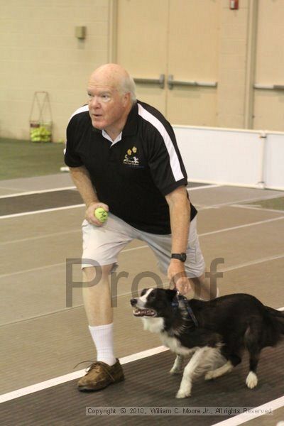 IMG_8676.jpg - Dawg Derby Flyball TournementJuly 11, 2010Classic CenterAthens, Ga