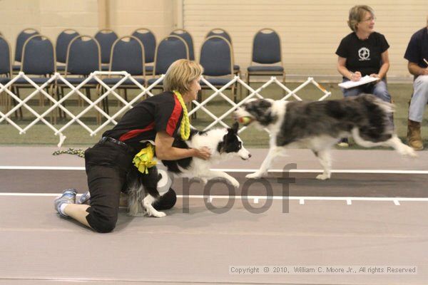 IMG_8683.jpg - Dawg Derby Flyball TournementJuly 11, 2010Classic CenterAthens, Ga