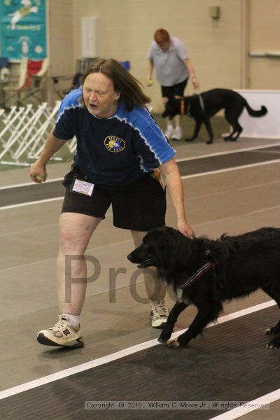 IMG_8692.jpg - Dawg Derby Flyball TournementJuly 11, 2010Classic CenterAthens, Ga