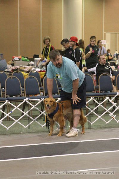 IMG_8695.jpg - Dawg Derby Flyball TournementJuly 11, 2010Classic CenterAthens, Ga