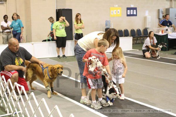 IMG_8720.jpg - Dawg Derby Flyball TournementJuly 11, 2010Classic CenterAthens, Ga