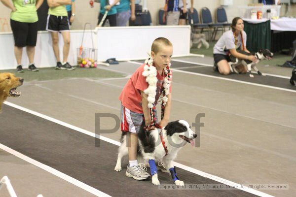 IMG_8721.jpg - Dawg Derby Flyball TournementJuly 11, 2010Classic CenterAthens, Ga