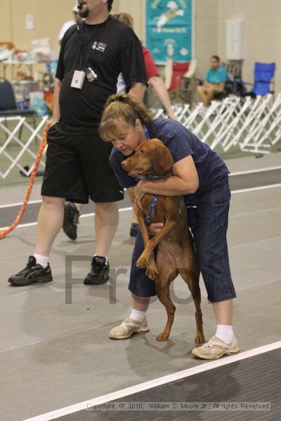 IMG_8814.jpg - Dawg Derby Flyball TournementJuly 11, 2010Classic CenterAthens, Ga