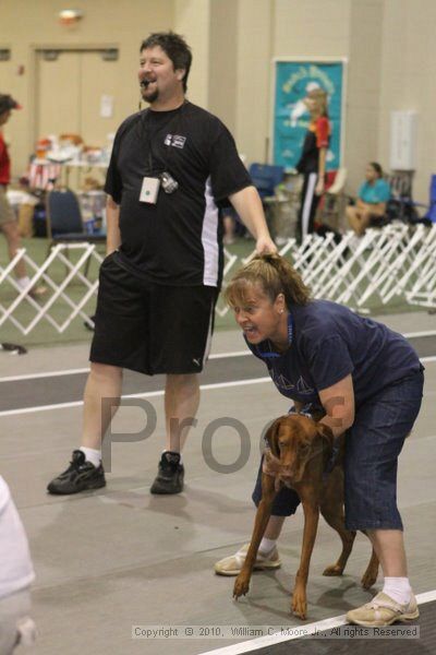 IMG_8815.jpg - Dawg Derby Flyball TournementJuly 11, 2010Classic CenterAthens, Ga